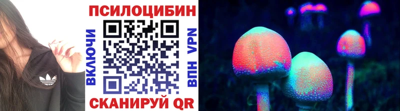 Псилоцибиновые грибы Magic Shrooms  наркошоп  Павловск 
